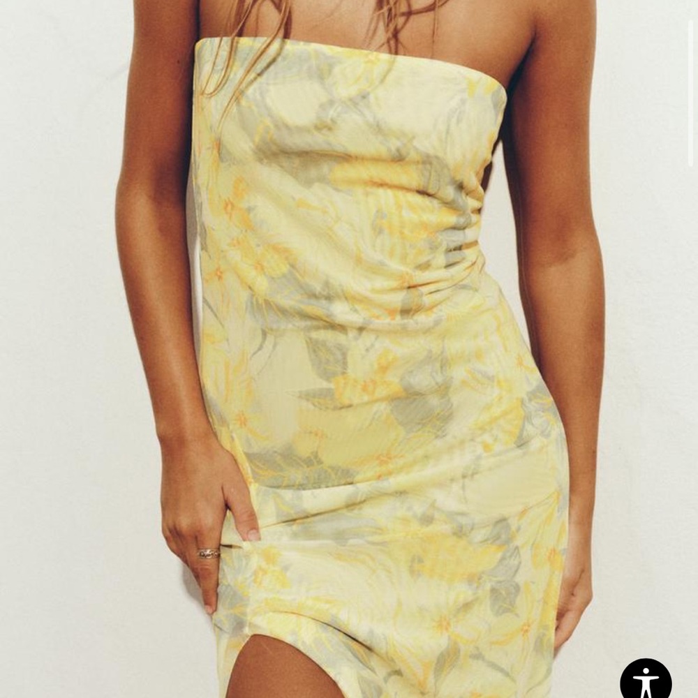 NWT!! Zara Floral Strapless Midi Tule Dress